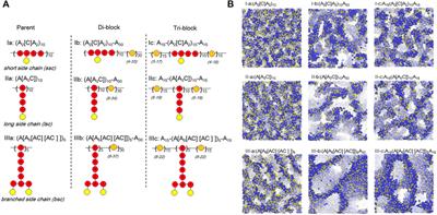 Perspective: Morphology and ion transport in ion-containing polymers from multiscale modeling and simulations